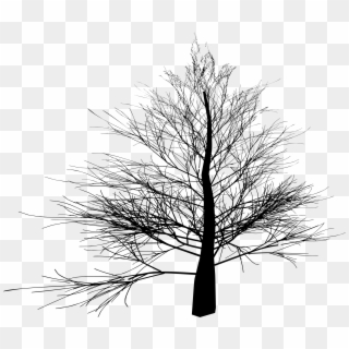 Big Image - Winter Tree Png Transparent Clipart