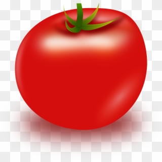 Tomato Clipart Big Plant - Clipart Apple No Background - Png Download