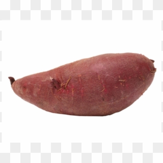 Organic Sweet Potatoes - Sweet Potato Clipart