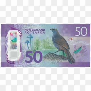 Free Png Download New Zealand Banknotes Ebay 50 Png - 50$ Nz Clipart