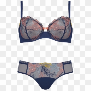 Find A Bra In Your Girlfriend's Lingerie Drawer With - Lingerie Clipart