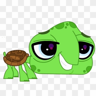 Turtle Vector Png Clipart