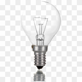 Electric Bulb Png Photo - Photography Clipart