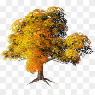 Source - - Fall Trees Transparent Background Clipart