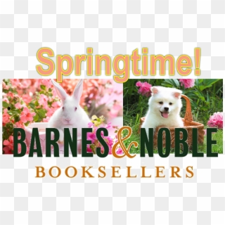 Springtime Storytime At Barnes & Noble - Rabbit Clipart