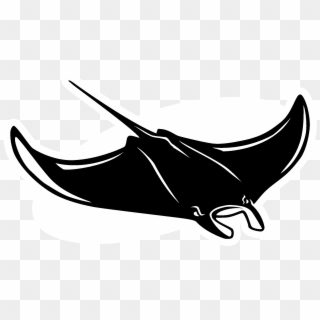 Tampa Bay Devil Rays Logo Black And White - Tampa Bay Rays Manta Logo Clipart