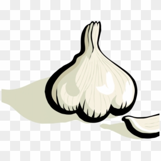 Garlic Clipart Garlic Bulb - Clipart Garlic - Png Download