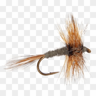 Adams - Fly Fishing Fly Clipart