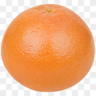 Grapefruit - Grapefruit Png Clipart