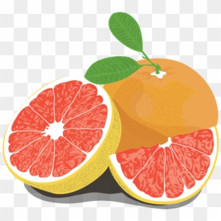 Grapefruit - Pomelo Clipart
