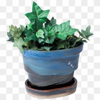 Handmade Pottery Planter And Drip Tray With Greenery - Flowerpot Clipart