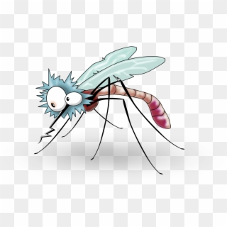Mosquito Clipart - Cartoon Mosquito No Background - Png Download
