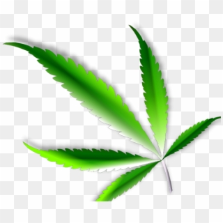 Cannabis Clipart Svg - Illustration - Png Download