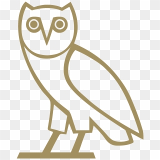 Download Now - Ovo Owl Png Clipart