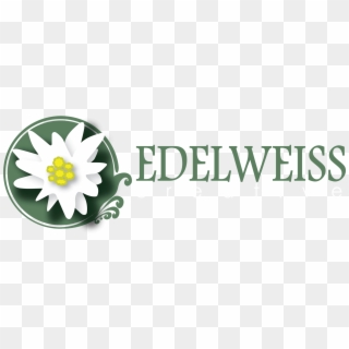 Edelweiss Creative Solves Problems - Graphic Design Clipart