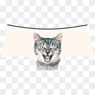 Lickstarter Pussycat Panties / Panty Store - Cat Yawns Clipart