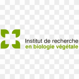 To Download In Png Format, Right-click Here Then Save - Institut De Recherche En Biologie Végétale Clipart