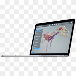 Ea On Macbook Pro - Smartphone Clipart