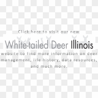 White-tailed Deer Illinois Image4 - Black-and-white Clipart