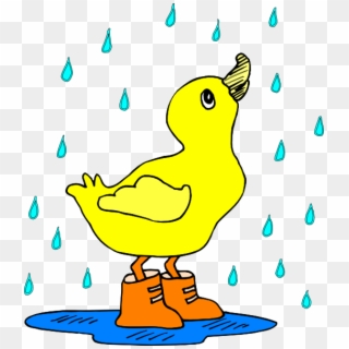 Duck In The Rain Svg Clip Arts 522 X 595 Px - Png Download
