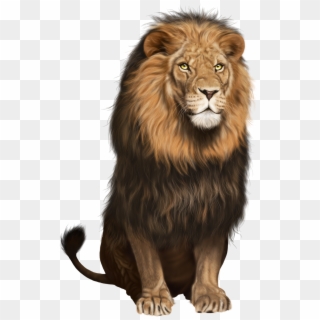 Lion Png Image Background - Lion Transparent Png Clipart