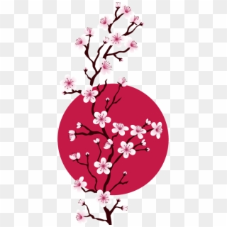 Flower Png Hd - Transparent Sakura Flower Png Clipart