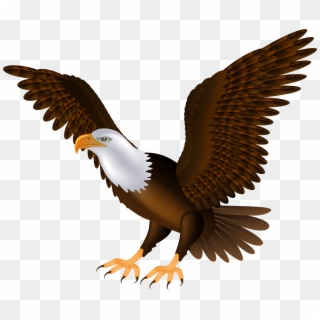 Eagle Png Png Images Clipart