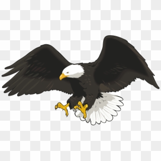 Eagle Free Download Png Images Clipart