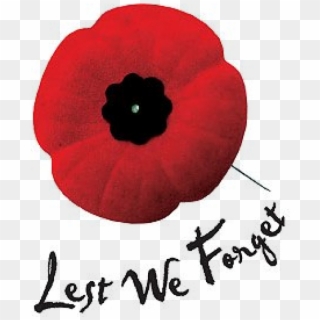 Remembrance Poppy - Remembrance Day Poppy Png Clipart