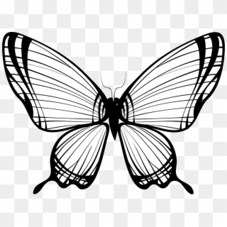 Image Freeuse Download Art Silhouette Free Commercial - Butterfly Sihluette Clipart