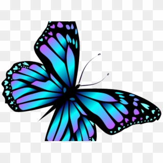Monarch Butterfly Cartoon - Transparent Blue Monarch Butterfly Clipart