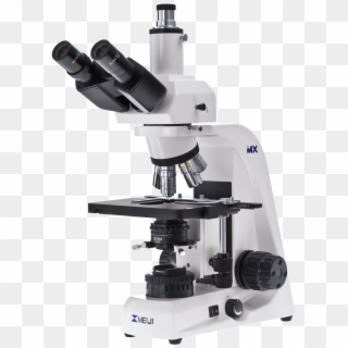 Large Binocular Microscope - Biological Microscope Clipart