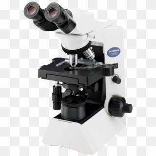 Olympus Cx31 Upright Biological Microscope - Microscope Olympus Cx 23 Clipart