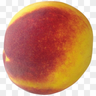 Peach Fruit Peaches - Nectarines Clipart