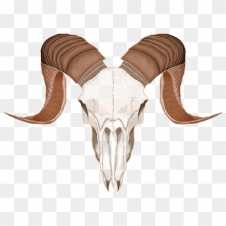 Goat Skull Transparent - Skull Clipart