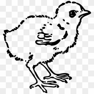 Baby Chick Tattoo - Chick Clip Art Black And White - Png Download