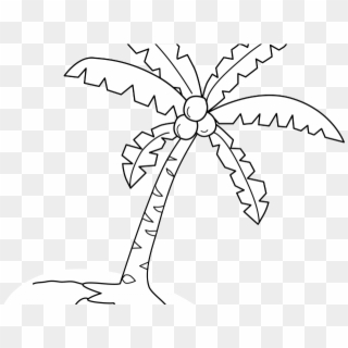 Plant Clipart Coconut Tree - Clip Art - Png Download