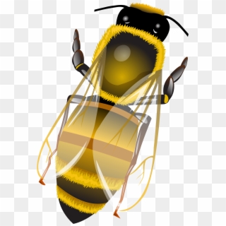 Bee Png Clip Art - Illustration Transparent Png