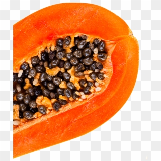 Papaya Clipart