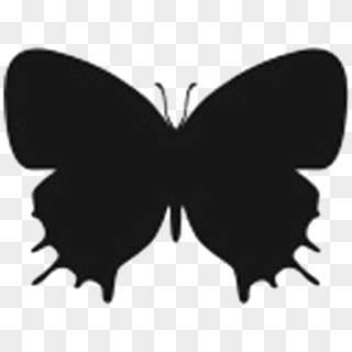 Butterfly Silhouette Png - Papilio Machaon Clipart