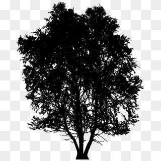 Input Very High Detail Tree Silhouette Clipart