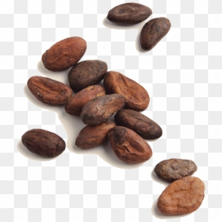 Profile - Cocoa Beans Png Clipart