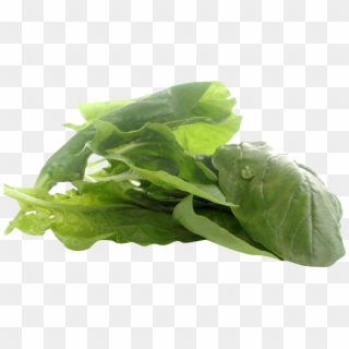 Spinach - Vegan Zinc Clipart