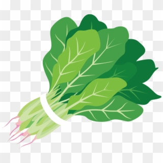 Spinach Clipart Clipartxtras Png - Spinach Clipart Transparent Png