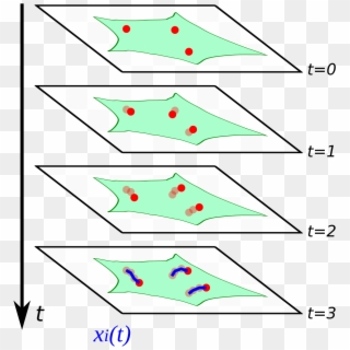 Single-particle Tracking - Parallel Clipart