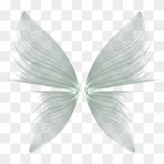Download Png Image Report - Angel Wing Png Transparent Clipart