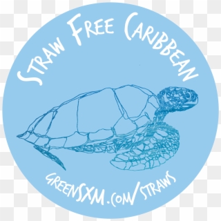 Straw Free Caribbean High Res - Box Turtle Clipart