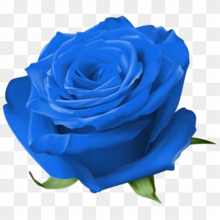 Free Png Download Blue Rose Transparent Png Images - Transparent Rose Clipart