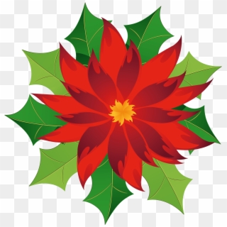 Christmas Holly Poinsettia Poinsetta Terrieasterly - Christmas Poinsettia Clipart - Png Download