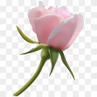 Clipart Roses Rose Bud - Png Download